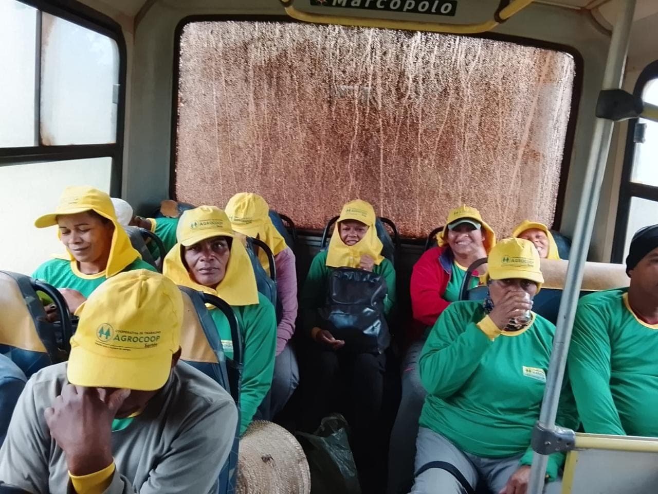Cooperados a caminho da colheita